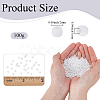 100G Glass Seed Beads SEED-SP0001-14A-01-2