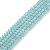 Grade A Natural Amazonite Beads Strands G-C046-01B-1