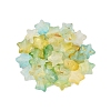 Frosted Acrylic Beads FACR-CJC0008-01C-1