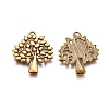 Tibetan Style Alloy Pendants TIBEP-A13000-AG-FF-1