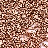 FGB 11/0 Grade A Glass Seed Beads SEED-S030-1201-2
