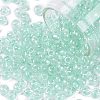6/0 Glass Seed Beads SEED-A015-4mm-2213-1
