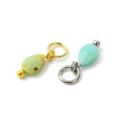 10Pcs 2 Colors Natural Chalcedony Pendants PALLOY-JF05860-02-1