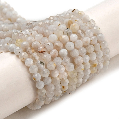 Natural Rainbow Moonstone Beads Strands X-G-A097-A02-03-1