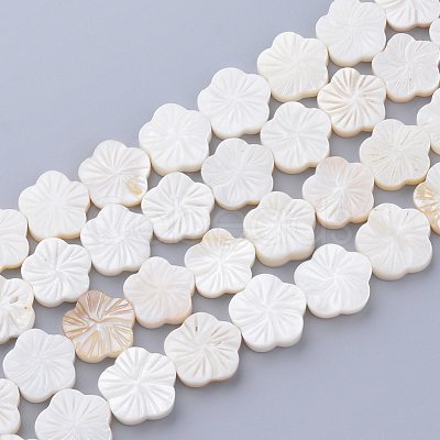 Natural Freshwater Shell Bead Strands X-SHEL-T001-A01-1