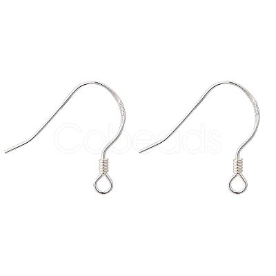 925 Sterling Silver Earring Hooks X-STER-K167-049A-S-1