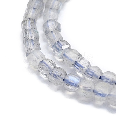 Natural Labradorite Beads Strands G-P457-B01-19-1