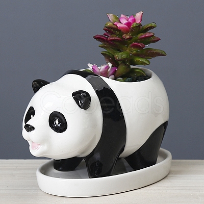 Cute Panda Succulent Planter Pots PW22053089103-1