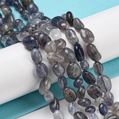 Natural Iolite Beads Strands G-P497-01A-13-1