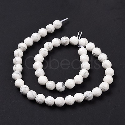 Natural Howlite Beads Strands G-E571-29B-1