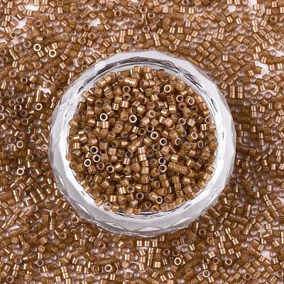 FGB 11/0 Grade A Baking Paint Glass Seed Beads SEED-S030-1146-1