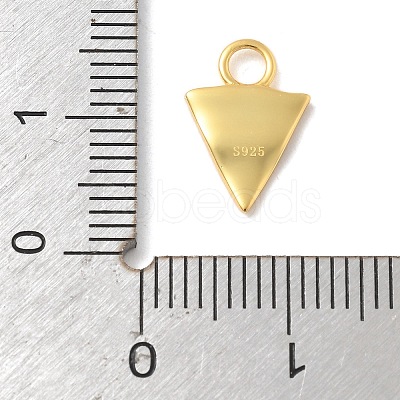 925 Sterling Silver Red Enamel Charms STER-Z012-01G-02-1