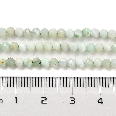 Natural Green Opal Beads Strands G-Z035-A02-02B-1