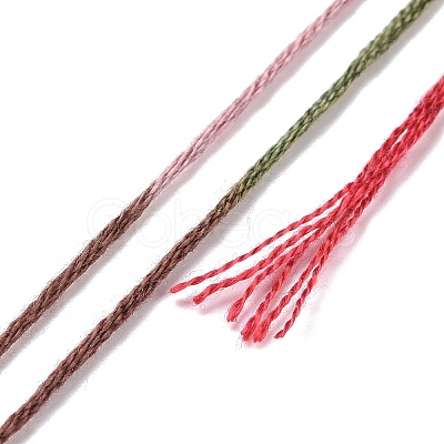 10 Skeins 6-Ply Polyester Embroidery Floss OCOR-K006-A17-1