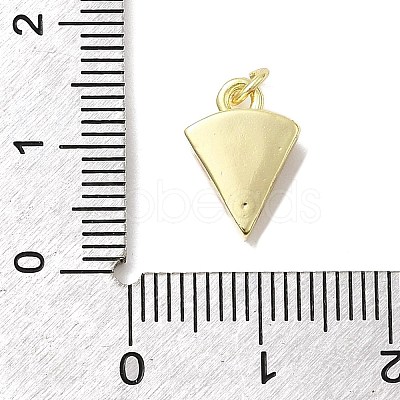 Brass Enamel Charms KK-P338-20G-01-1