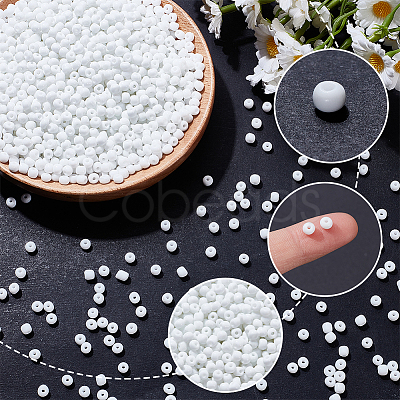 200G Glass Seed Beads SEED-SP0001-14B-01-1