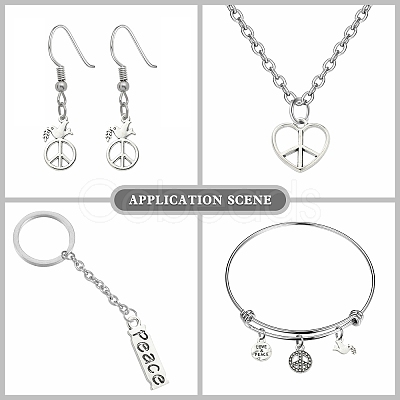 100Pcs 10 Styles Tibetan Style Alloy Pendants TIBEP-CJ0002-80-1