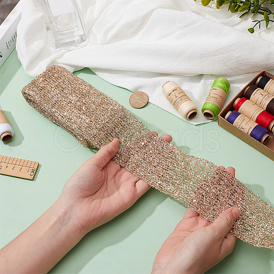 5 Yards Polyester Lace Trim OCOR-PH0005-76-1