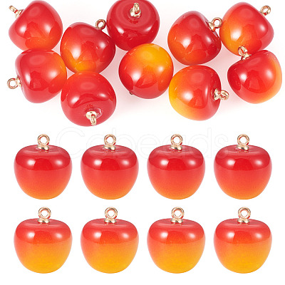 10Pcs Plastic Pendants KY-TADJ0001-01B-1