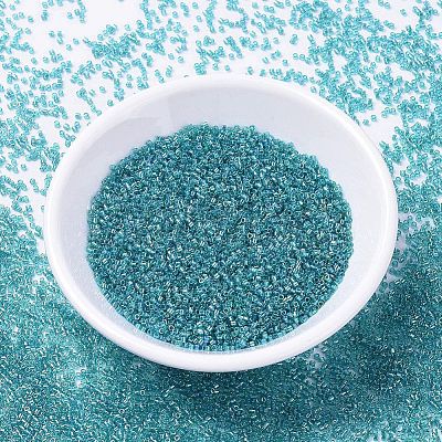 MIYUKI Delica Beads SEED-X0054-DB1248-1