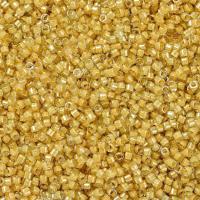 MIYUKI Delica Beads SEED-X0054-DB2041-1