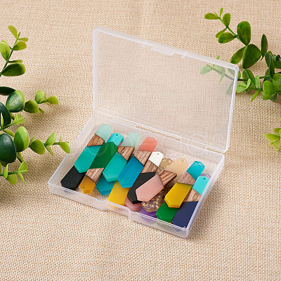 18Pcs 9 Styles Resin & Walnut Wood Pendants RESI-BT0001-25-1