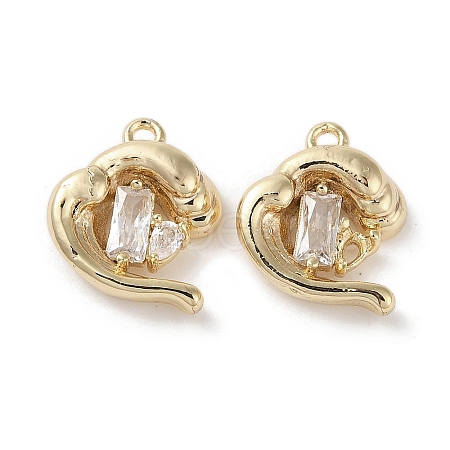 Brass Micro Pave Clear Cubic Zirconia Charms KK-G491-30G-1