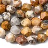 Natural Crazy Agate Beads Strands G-Z119-A13-02-6