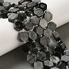 Natural Eagle Eye Stone Beads Strands G-P534-A14-02-2