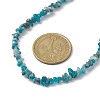 Natural Apatite Chip Beaded Necklace NJEW-JN04616-15-3