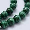 Natural Malachite Beads Strands G-F571-27AA1-10mm-3