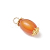 6Pcs Natural Agate(Dyed & Heated) Pendants PALLOY-JF04532-02-4