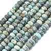 Natural African Turquoise(Jasper) Beads Strands G-P575-A20-8x5mm-2