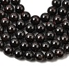 Natural Garnet Gemstone Bead Strands G-R263-10mm-3