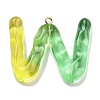 Resin Pendant FIND-Q107-01W-02-1
