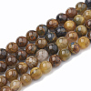 Natural Pietersite Beads Strands G-S333-12mm-010-1