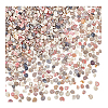 Mini Natural Shell Beads BSHE-PH0001-57B-6