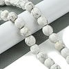 Natural Howlite Beads Strands G-H023-A16-01-2