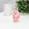 Heart(Organ) Shape DIY Candle Silicone Statue Molds CAND-PW0007-025-3