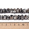 Natural Syenite Beads Strands G-D091-A32-5