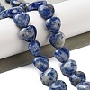 Natural Blue Spot Jasper Beads Strands G-B022-26C-1