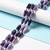 Natural Lepidolite/Purple Mica Stone Beads Strands G-B028-A06-2