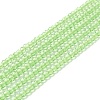Transparent Glass Beads Strands GLAA-C019-01B-19-1
