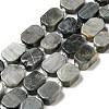 Natural Eagle Eye Stone Beads Strands G-G072-B01-01-1