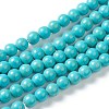 Synthetic Turquoise Beads Strands G-J389-02B-1
