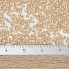 MIYUKI Delica Beads X-SEED-J020-DB1561-4