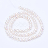 Natural Cultured Freshwater Pearl Beads Strands PEAR-R063-09-2
