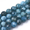 Natural Apatite Beads Strands G-S345-4mm-008-1