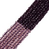 Transparent Glass Beads Strands GLAA-N074-01A-21-2