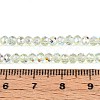 Transparent Glass Beads Strands EGLA-N016-3mm-06-4